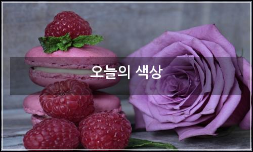 오늘의 이미지
