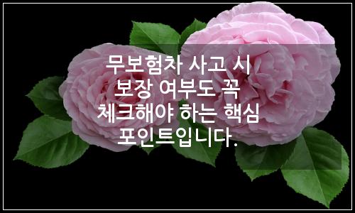 오늘의 이미지