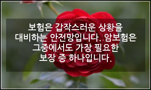 오늘의 이미지