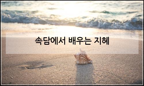 오늘의 이미지
