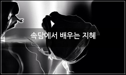 오늘의 이미지