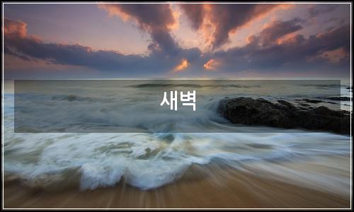 오늘의 이미지