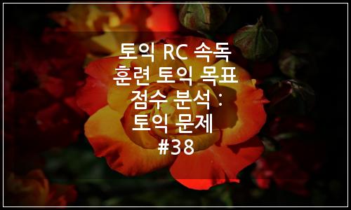 오늘의 이미지