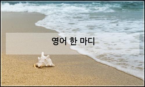 오늘의 이미지