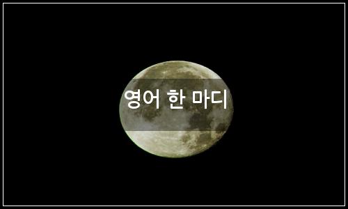 오늘의 이미지