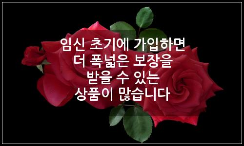 오늘의 이미지
