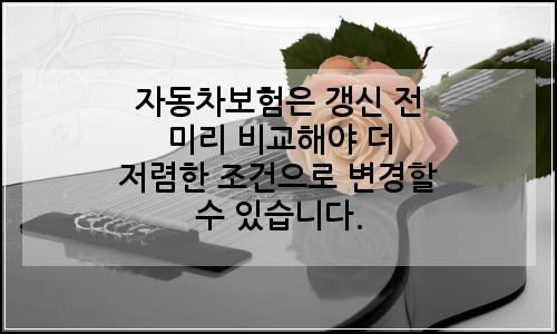 오늘의 이미지