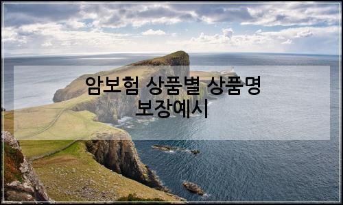 오늘의 이미지