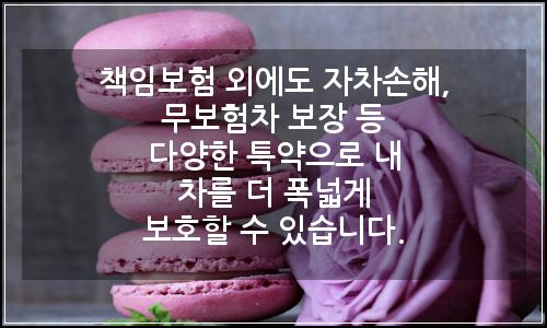 오늘의 이미지