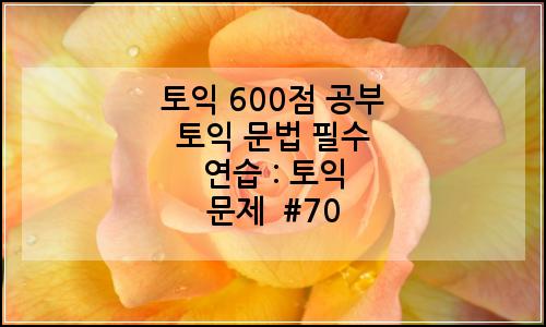 오늘의 이미지