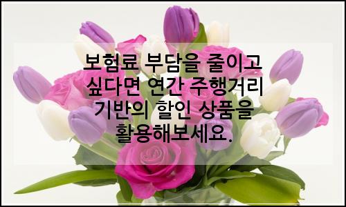 오늘의 이미지