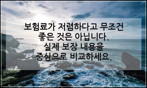 오늘의 이미지