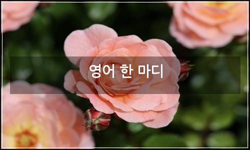 오늘의 이미지