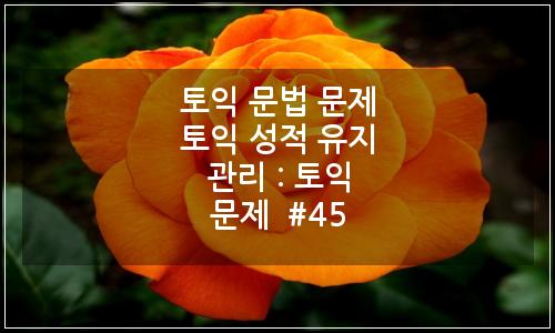 오늘의 이미지