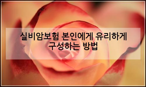 오늘의 이미지