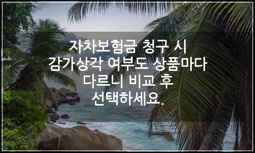 오늘의 이미지