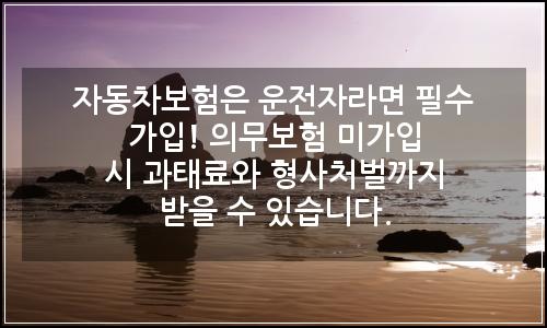 오늘의 이미지
