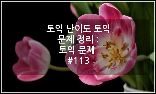 오늘의 이미지
