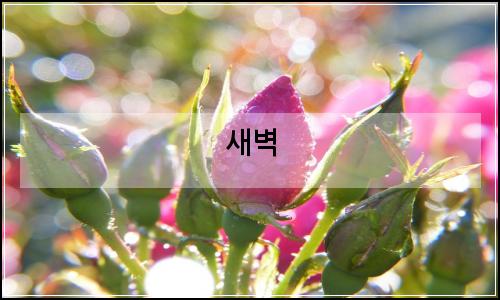 오늘의 이미지