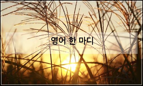 오늘의 이미지