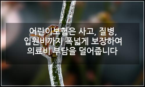 오늘의 이미지