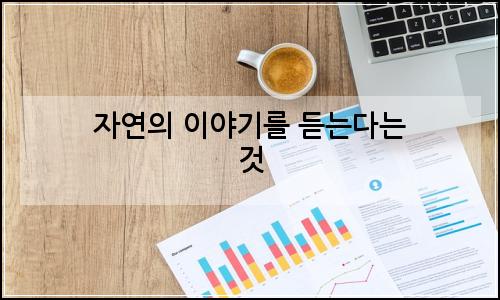 오늘의 이미지