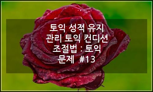 오늘의 이미지