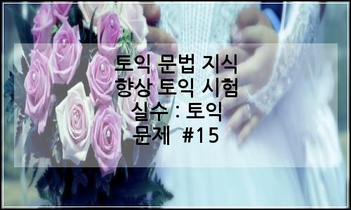 오늘의 이미지