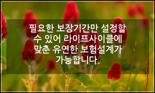 오늘의 이미지