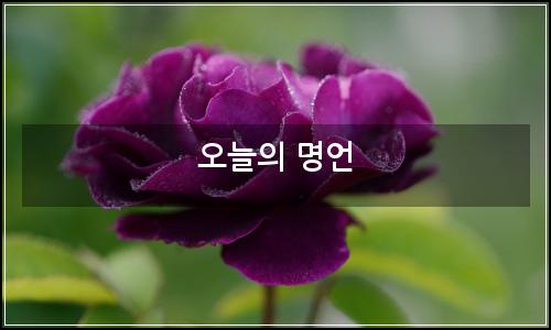 오늘의 이미지