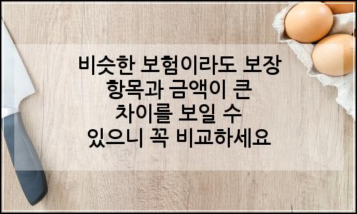 오늘의 이미지