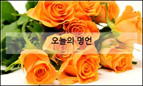 오늘의 이미지