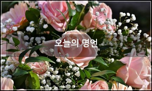 오늘의 이미지