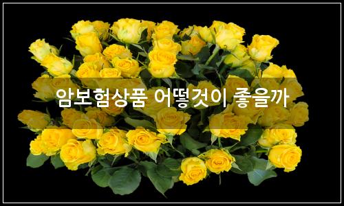 오늘의 이미지