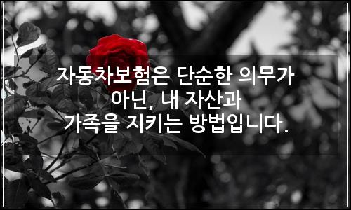 오늘의 이미지
