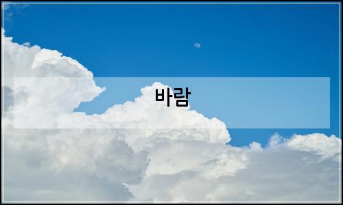 오늘의 이미지