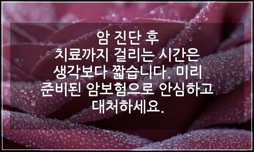 오늘의 이미지