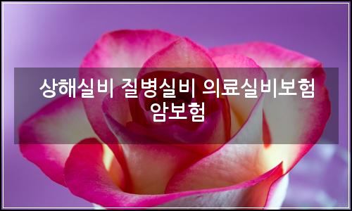 오늘의 이미지