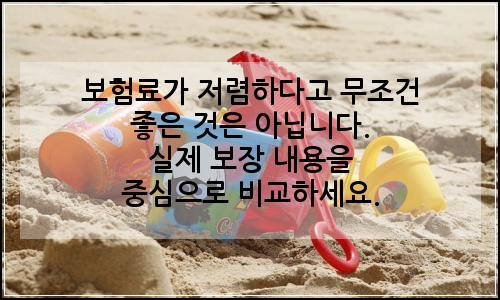 오늘의 이미지