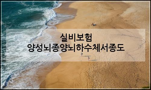 오늘의 이미지