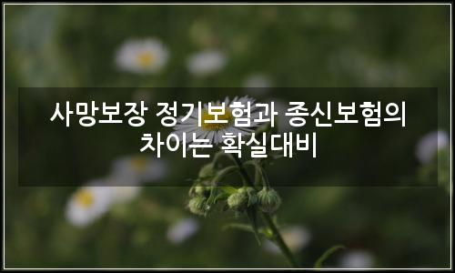 오늘의 이미지