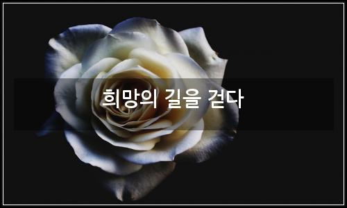 오늘의 이미지