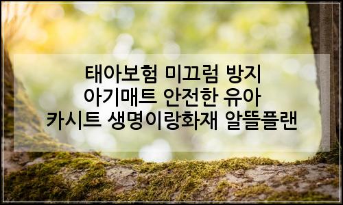 오늘의 이미지