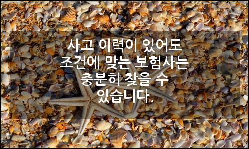 오늘의 이미지