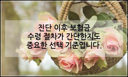 오늘의 이미지