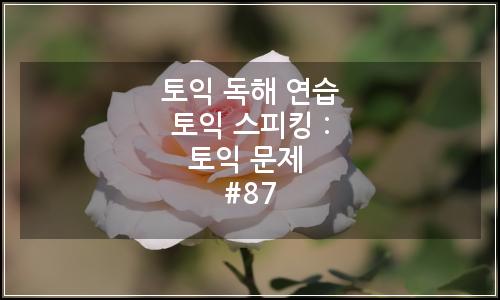 오늘의 이미지