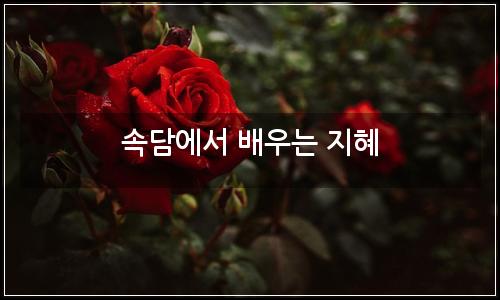오늘의 이미지
