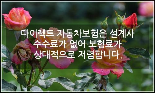 오늘의 이미지
