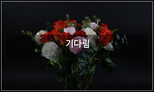 오늘의 이미지