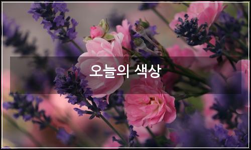 오늘의 이미지